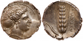 Lucania, Metapontion. Silver Nomos (7.73 g), ca. 400-330 BC