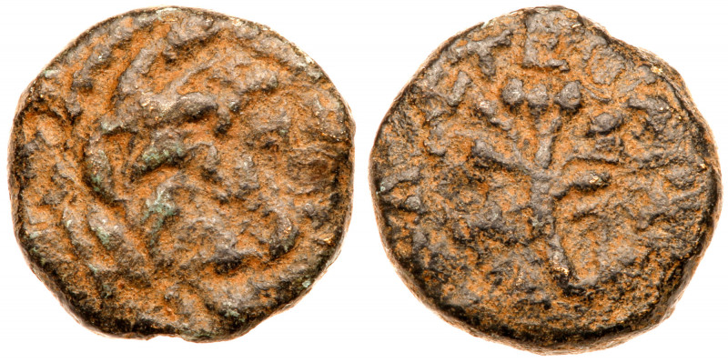Judea. Herodian Dynasty. Herod Antipas, 4 BCE to 39CE. AE &frac14; Denomination ...