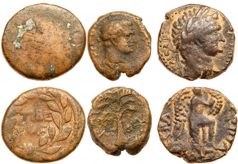 Judea. Herodian Dynasty. Agrippa II. A Group of 3 Different Bronzes. Consists of...