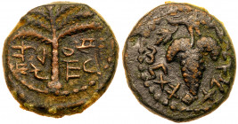 Judea, Bar Kokhba Revolt. Æ Small Bronze (6.19 g), 132-135 CE. VF