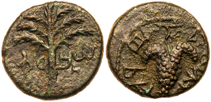 Judea, Bar Kokhba Revolt. &AElig; Small Bronze (4.70 g), 132-135 CE. Undated, at...