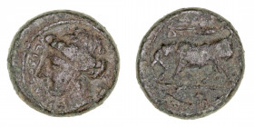 Monedas Antiguas
Sicilia
AE-15. Siracusa. Agathokles (c. 317-289 a.C.). A/Cabeza de Kore a izq. R/Toro a izq., encima delfín. 3.77g. CNS. II 99. Pát...