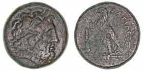 Monedas Antiguas
Reino Ptolemaico de Egipto
Ptolomeo II Philadelfos
AE-23. (285-246 a.C.). A/Cabeza diademada de Zeus a der. R/Águila sobre rayo y ...