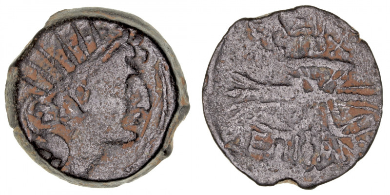 Monedas Antiguas
Reino Seleucida
Antioco IV
AE-18. Antioquía. (175-164 a.C.)....