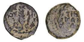 Monedas Antiguas
Judea
Valerio Grato
Prutah. AE. (15-26 d.C.). Acuñaciones de los Procuradores Romanos. 1.85g. Mes.227. BC+.