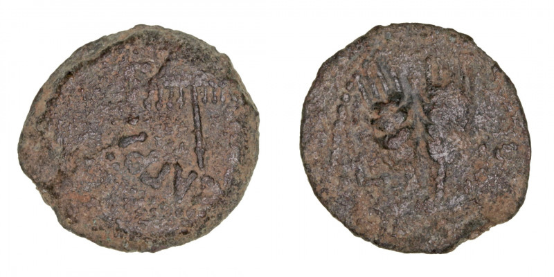Monedas Antiguas
Judea
Agripa I
Prutah. AE. (37-43). A/Sombrilla y ley. R/Tre...