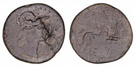 Monedas de la Hispania Antigua
Emporiton, San Martín de Ampurias (Gerona)
As. AE. A/Cabeza de Palas a der., delante D.D en cartela. 7.78g. (AB.1246)...