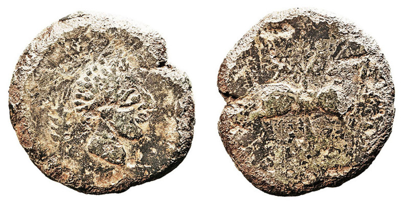 Monedas de la Hispania Antigua
Vesci, Región Extremeña
As. AE. (Hacia 50 a.C.)...
