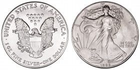 Monedas Extranjeras
Estados Unidos
Dólar. AR. 1986. Liberty, Silver Eagle. 1 onza plata fina. 31.19g. EBC+.