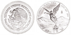 Monedas Extranjeras
México
1/2 Onza. AR. 2005. 15.56g. Brillo original. (SC-).
