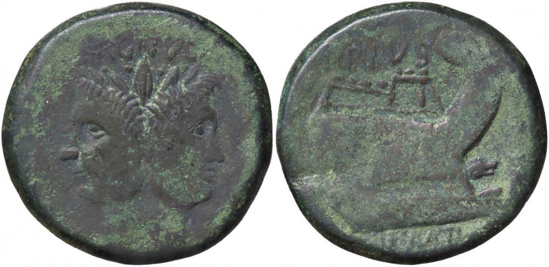 ROMANE REPUBBLICANE - POMPEIA - Sex. Pompeius Magnus (42 a.C.) - Asse - Testa di...