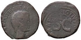 ROMANE IMPERIALI - Augusto (27 a.C.-14 d.C.) - Asse - Testa a d. /R SC entro scritta circolare C. 504 (AE g. 15,84)
meglio di MB