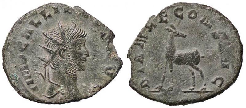 ROMANE IMPERIALI - Gallieno (253-268) - Antoniniano - Busto radiato e drappeggia...
