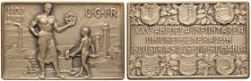 MEDAGLIE ESTERE - ROMANIA - Placchetta 1928 - 25° anniversario della fondazione del sindacato degli industriali AE mm 52x80
FDC