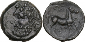 Greek Italy. Northern Apulia, Arpi. AE 17 mm. c. 325-275 BC. Obv. Laureate head of Zeus left. Rev. Horse prancing right; above, star; between legs, ΑΡ...