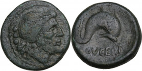 Greek Italy. Northern Apulia, Luceria. AE Teruncius, c. 211-200 BC. Obv. Laureate head of Neptune right; behind, three pellets. Rev. Dolphin right; [a...