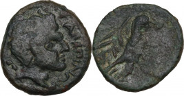 Greek Italy. Northern Apulia, Salapia. AE 15 mm. c. 225-210 BC. Obv. ΣΑΛΑΠΙΝΩΝ. Head of young Pan right, pedum at shoulder. Rev. Hawk right, on Ionic ...