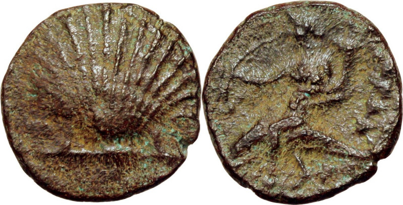 Greek Italy. Southern Apulia, Tarentum. AE 13mm, circa 275-200 BC. Obv. Shell. R...
