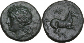 Sicily. Syracuse. Hieron II (274-215 BC). AE 17 mm. c. 269/265-240 BC. Obv. Laureate head of Apollo left; behind, lyre. Rev. Horse galloping right; ab...