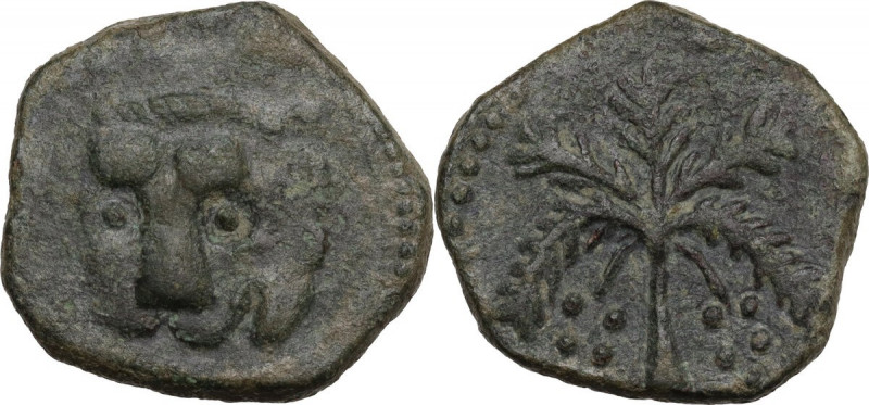 Messina. Guglielmo II (1166-1189). Trifollaro (?). Sp. 117; Travaini 1995 370; D...