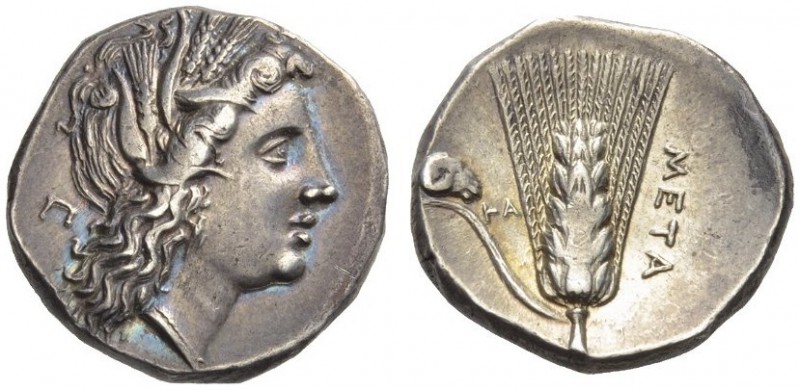 LUCANIA, Metapontum. Circa 290-280 BC. Didrachm or Nomos (Silver, 19mm, 7.71 g 8...