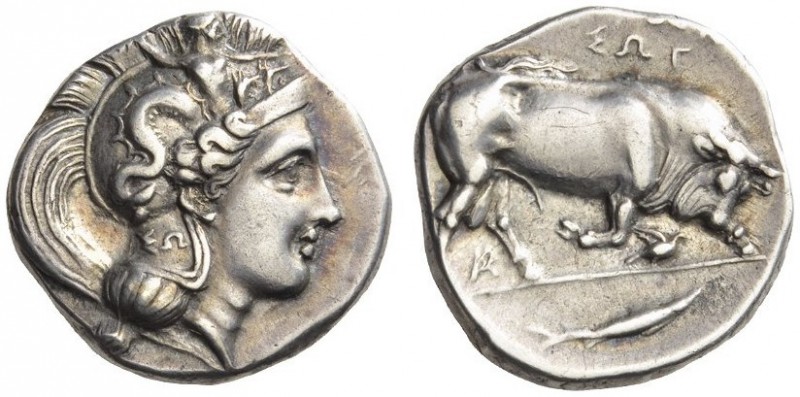 LUCANIA, Thourioi. Circa 350-300 BC. Stater (Silver, 23mm, 7.79 g 2). Head of At...