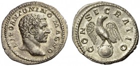 Divus Caracalla, died 217. Denarius (Silver, 19mm, 3.10 g 6), Rome, struck under Elagabalus in 218. DIVO ANTONINO MAGNO Bare head of Caracalla to righ...