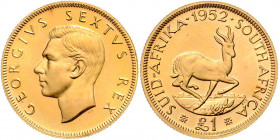 Süd Afrika George VI. 1937 - 1952 Pfund 1952 Pretoria Friedberg 7 8,00g stgl