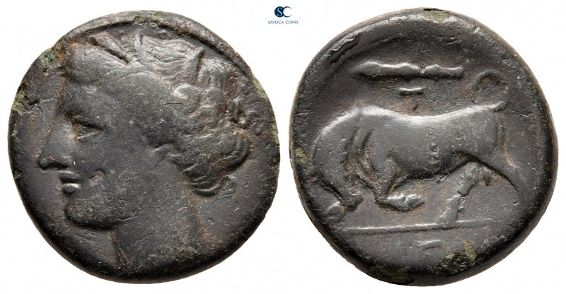 Sicily. Syracuse. Hieron II 275-215 BC. 
Bronze Æ

19 mm, 4,63 g



very ...