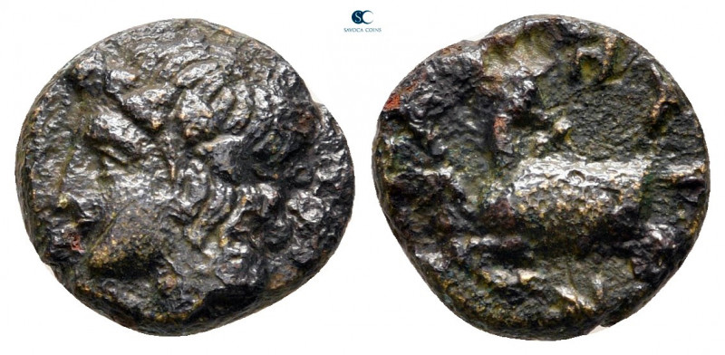 Macedon. Galepsos circa 400-380 BC. 
Chalkous Æ

12 mm, 1,81 g



very fi...