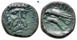 Moesia. Istrus circa 280-200 BC. Bronze Æ