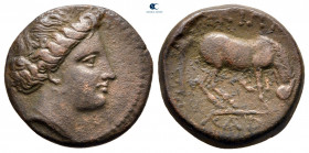 Thessaly. Larissa circa 344-321 BC. Dichalkon Æ