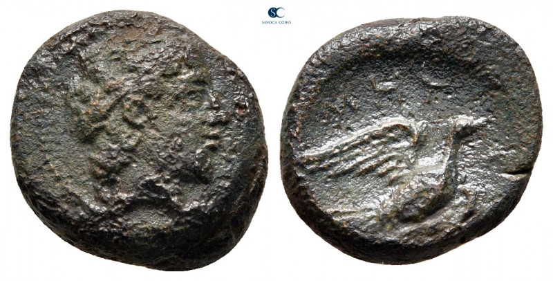 Thessaly. Metropolis circa 350-300 BC. 
Chalkous Æ

14 mm, 2,39 g



very...