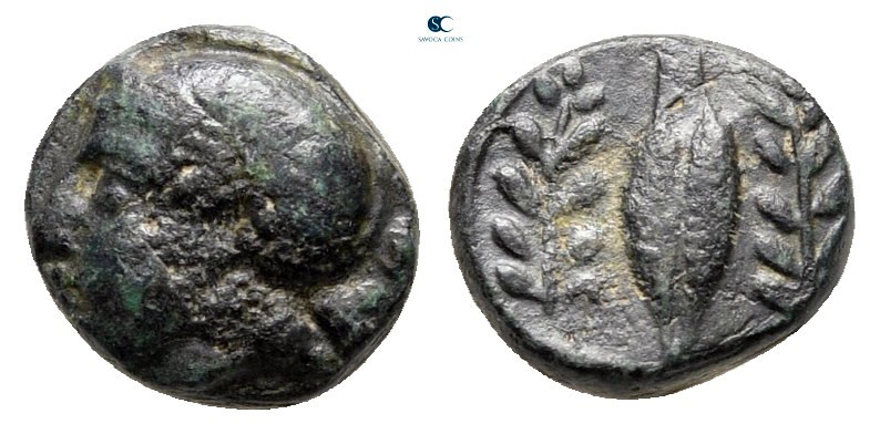 Asia Minor. Uncertain mint circa 300-200 BC. 
Bronze Æ

8 mm, 0,78 g



v...