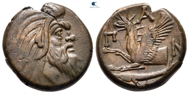 Cimmerian Bosporos. Pantikapaion circa 310-303 BC. 
Bronze Æ

20 mm, 7,62 g
...