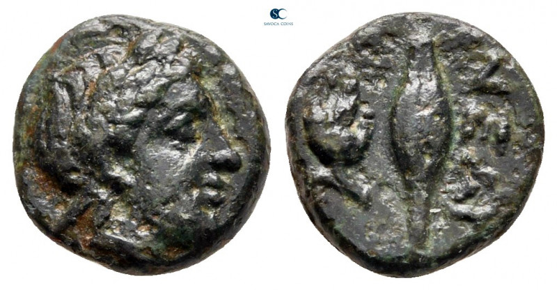 Troas. Neandria circa 400-300 BC. 
Bronze Æ

11 mm, 1,23 g



nearly very...