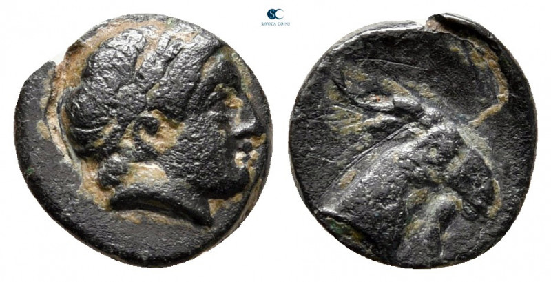 Aiolis. Aigai circa 300-200 BC. 
Bronze Æ

10 mm, 0,72 g



nearly very f...