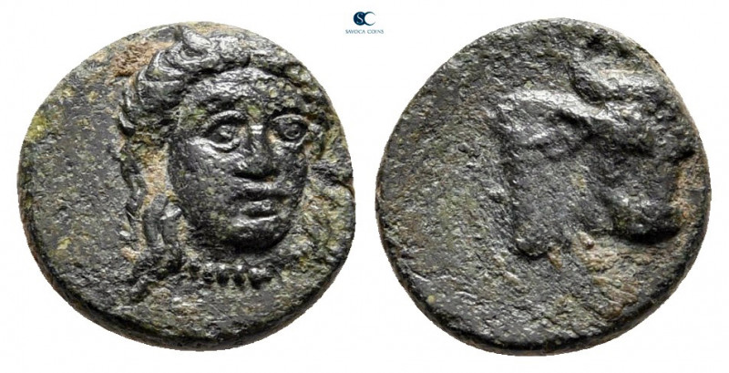 Aiolis. Larisa Phrikonis circa 350-300 BC. 
Bronze Æ

10 mm, 0,99 g



ve...