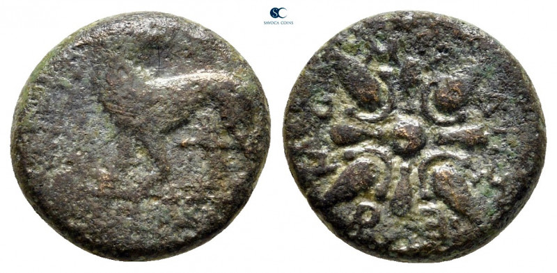 Ionia. Miletos circa 377-353 BC. 
Bronze Æ

13 mm, 2,00 g



nearly very ...