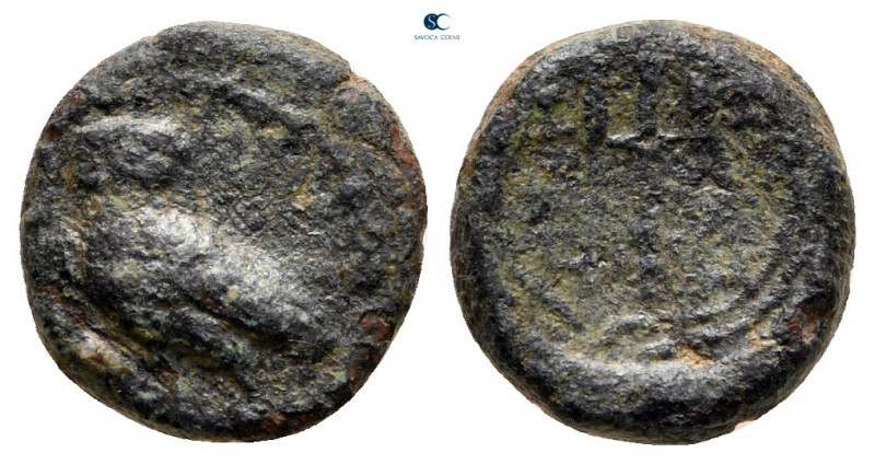 Ionia. Priene circa 290-240 BC. 
Bronze Æ

11 mm, 1,46 g



fine