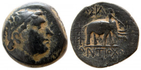 SELEUKID KINGS. Antiochos III ‘the Great’. 223-187 BC. Æ. Rare.