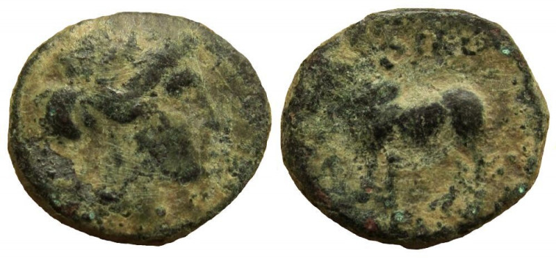 Seleukid Kingdom. Seleukos II Kallinikos, 246-225 BC. AE 16 mm. 3.49 gm. Antioch...