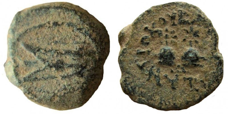 Seleukid Kingdom. Antiochos VII Euergetes, 138-129 BC. AE 11 mm. 1.35 gm. Antioc...
