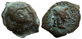 Ptolemaic Kingdom. Ptolemy IX-Ptolemy X, 116-88 BC. AE 12 mm. Kyrene mint.