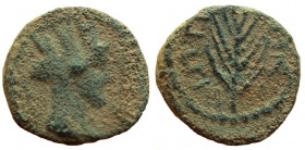 Decapolis. Antiochia ad Hippum. Pseudo-autonomous issue. AE 14 mm. 1st Century AD.
