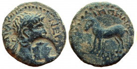Decapolis. Antiochia ad Hippum. Nero, 54-68 AD. AE 20 mm.