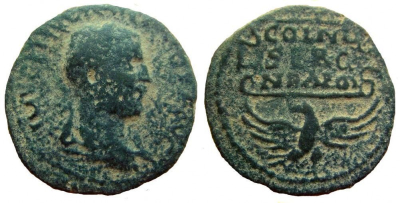 Judaea. Neapolis. Philip I, 244-249 AD. AE 26 mm. 
Weight: 10.56 gm.
Obverse: ...