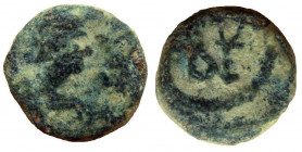 Anastasius I, 491-518. AE Nummus. Uncertain mint.
