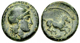 Kamarina AE15, c. 339-300 BC 

Sicily, Kamarina. AE15 (3.63 g), c. 339-300 BC.
Obv. Helmeted head of Athena to right; ΚΑΜΑΡΙΝΑΙΩΝ before.
Rev. Hor...