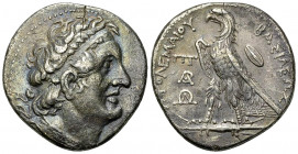 Ptolemaios II Philadelphos AR Tetradrachm, Ptolemais 

Ptolemaic Kings of Egypt. Ptolemaios II Philadelphos (285-246 BC). AR Tetradrachm (27-28 mm, ...